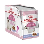 Feuchtfutter für junge Katzen in Gelatine 85g 12 St von Royal Canin