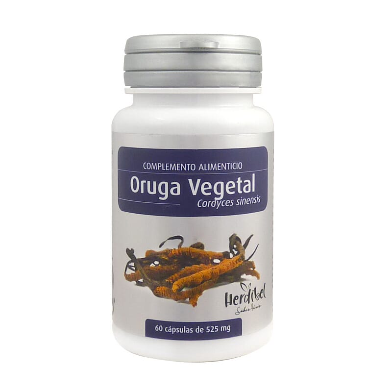 ORUGA VEGETAL 60 Caps