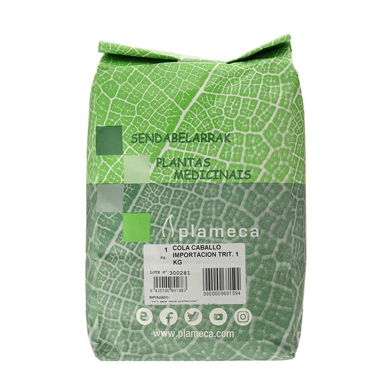 Importierter Schachtelhalm Zerkleinert 1 Kg