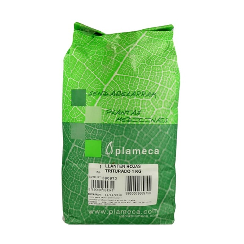 Llanten zerkleinerte Blätter 1 Kg