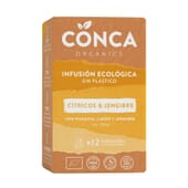 Bio-Tee ohne Plastik Zitrusfrüchte und Ingwer 12 Tees von Conca Organics