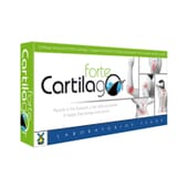 Cartilagor Forte 40 Gélules de Tegor