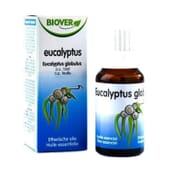 Huile Essentielle d’Eucalyptus Bio 10 ml de Biover