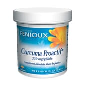 Curcuma Proactif 230 mg 90 Caps di Fenioux