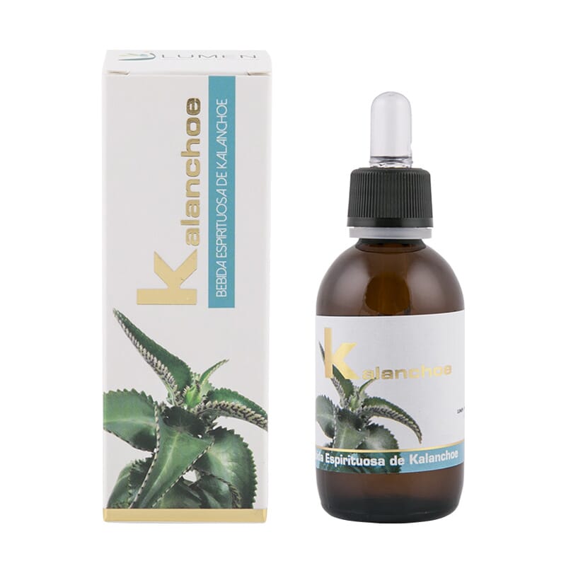 Kalanchoe 50 ml