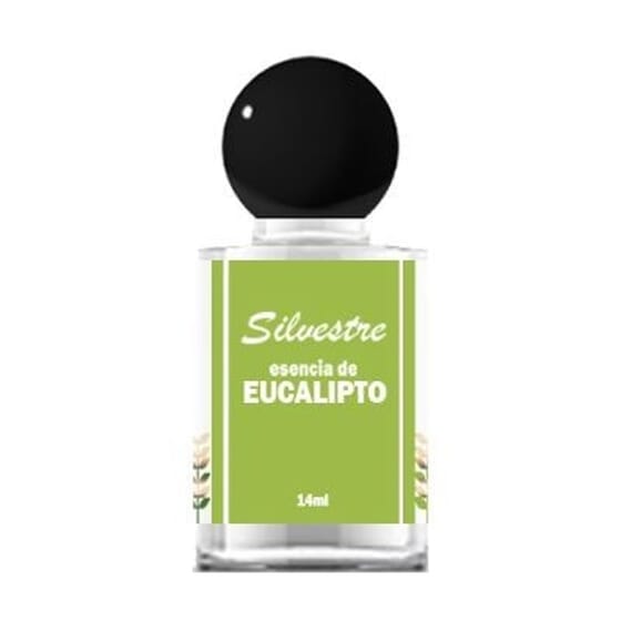 Esencia De Eucalipto 14 ml de Silvestre