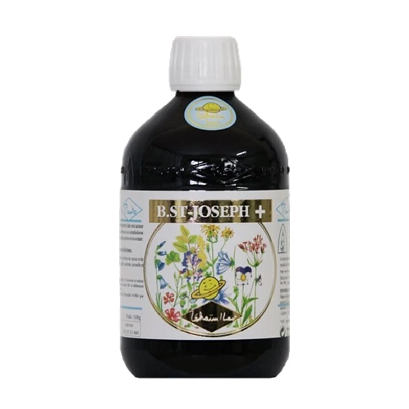 Bio San Jose Lehaim Levulosa 510g