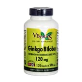 Ginkgo Biloba 120 mg  120 Caps de V Byotic