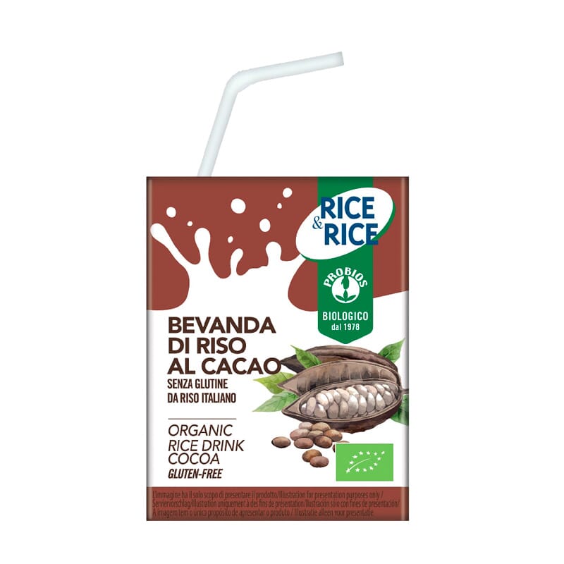 Bebida Arroz Choco Bio 200 ml