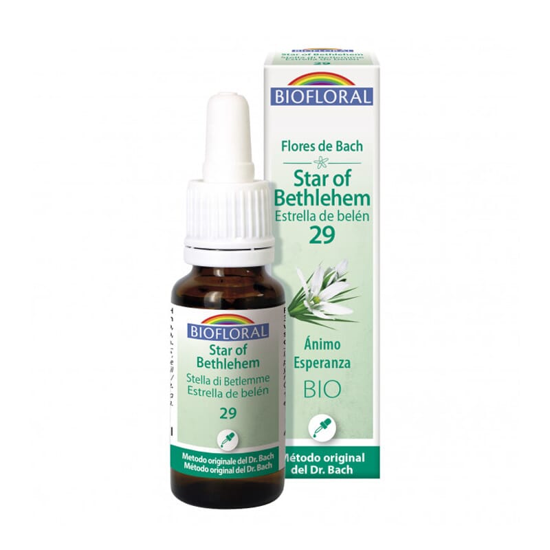 Olie Bloemen van Bach Ster van Bethlehem 29 Bio 20 ml