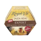 Royal Vit Geleia Real Expert Sem Açúcar 20 Frascos da Dietisa