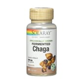 Chaga Fermented 500 mg 60 VCaps da Solaray
