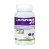 Gastroprotect 30 Tabs de Stangest