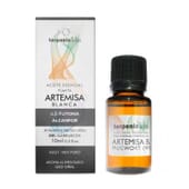 Olio Essenziale Artemisia Bianca 10 ml di Terpenic