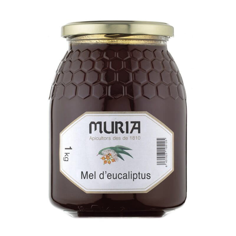 Mel De Eucalipto 1 Kg