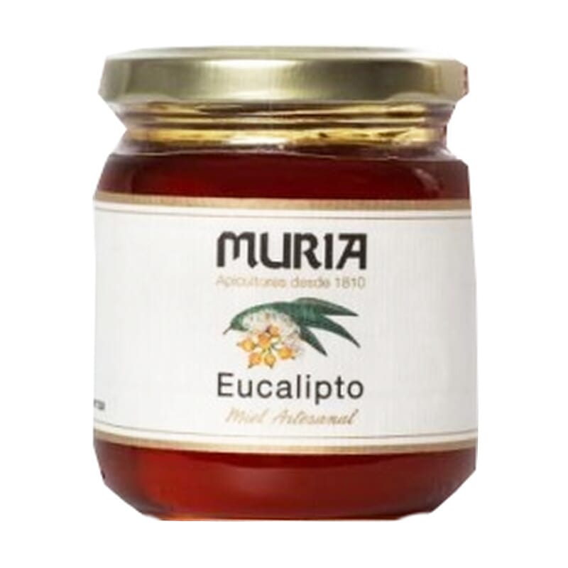 Miel De Eucalipto 250g