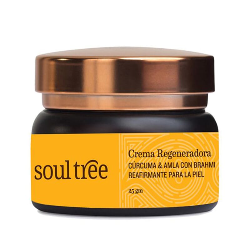 Kurkuma & Amla Regenerationscreme 25g