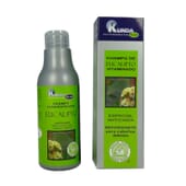 Shampooing Eucalyptus Vitaminé 250 ml de Kunda