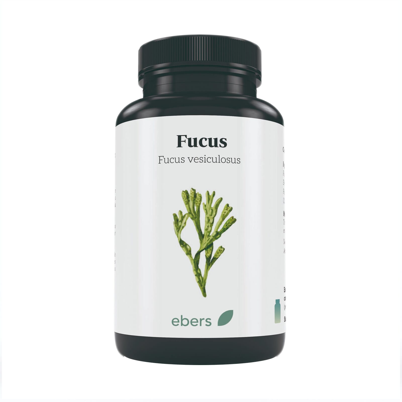 Fucus 500 Mg 100 Tabs