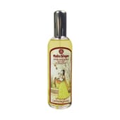 Deodorante Liquido Naturale per Ambienti Citronella 100 ml di Radhe Shyam