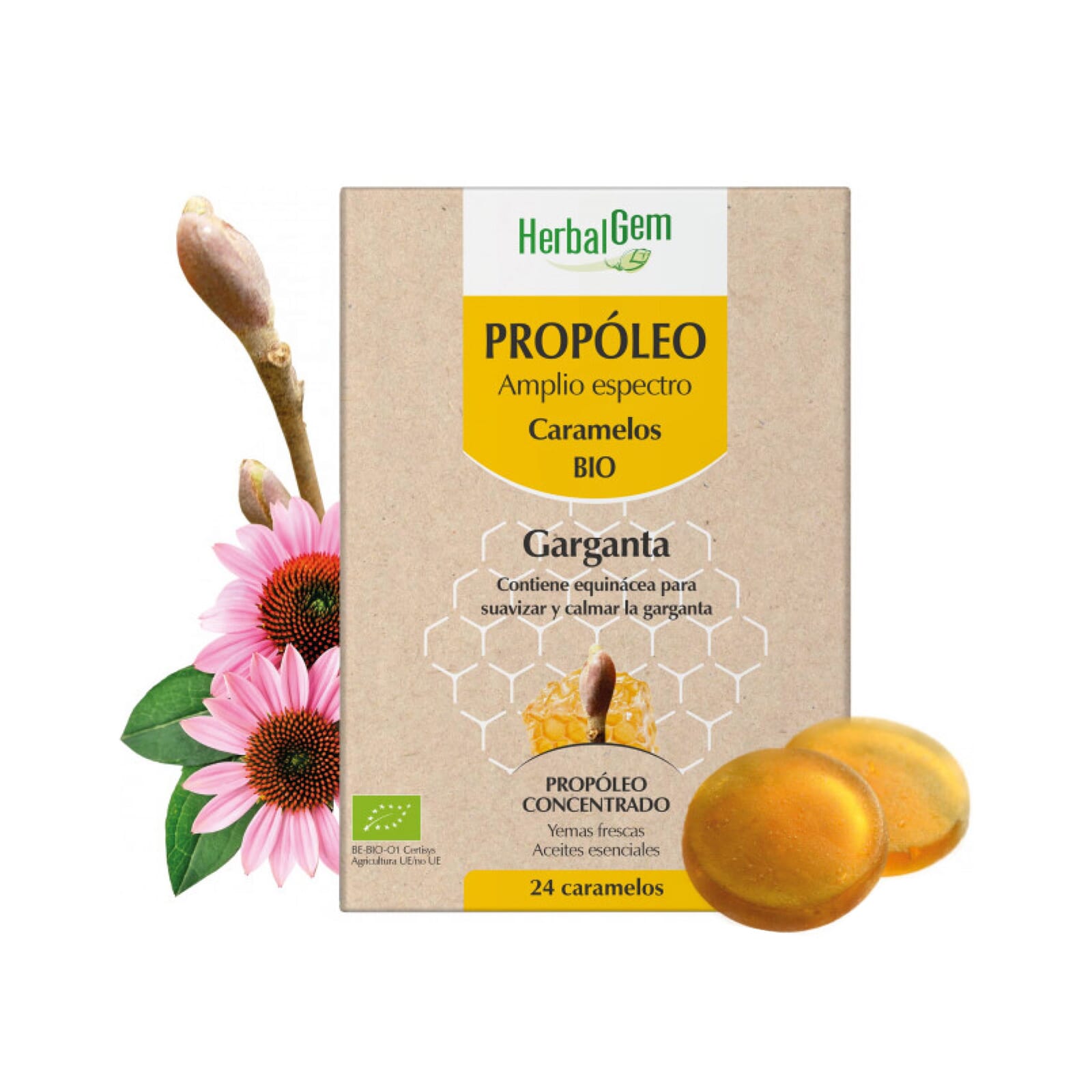 Propoleo Amplio Espectro Bio 24 Uds