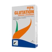 Glutation R Liposomado 30 Caps de Fepadiet
