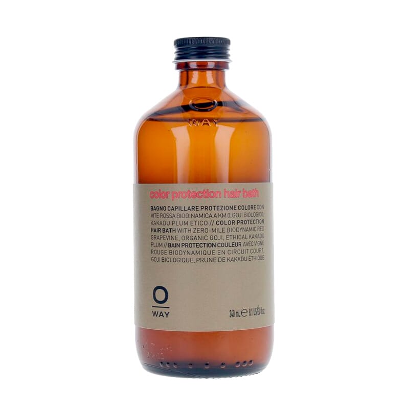 Color Up Color Protection Hair Bath 240 ml