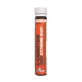 l carnitine cena beograd NOW L-Carnitine 500 mg
