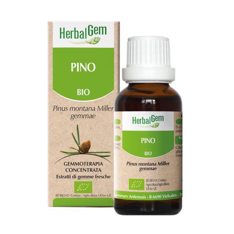 Pinheiro  