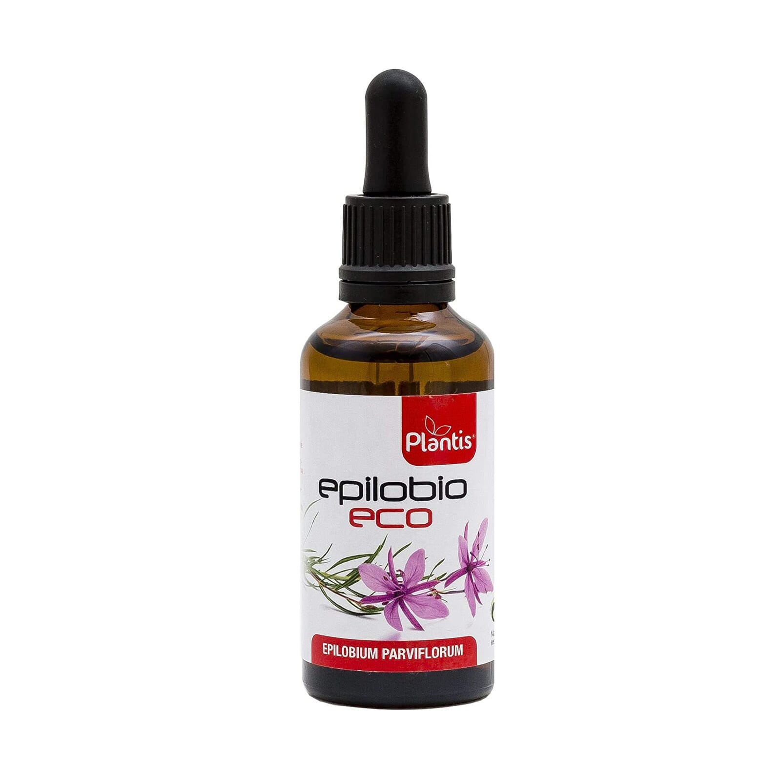 Epilobio Eco  