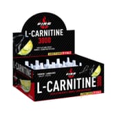 L-CARNITINE 3000 - 20 x 10ml - GOLDNUTRITION
