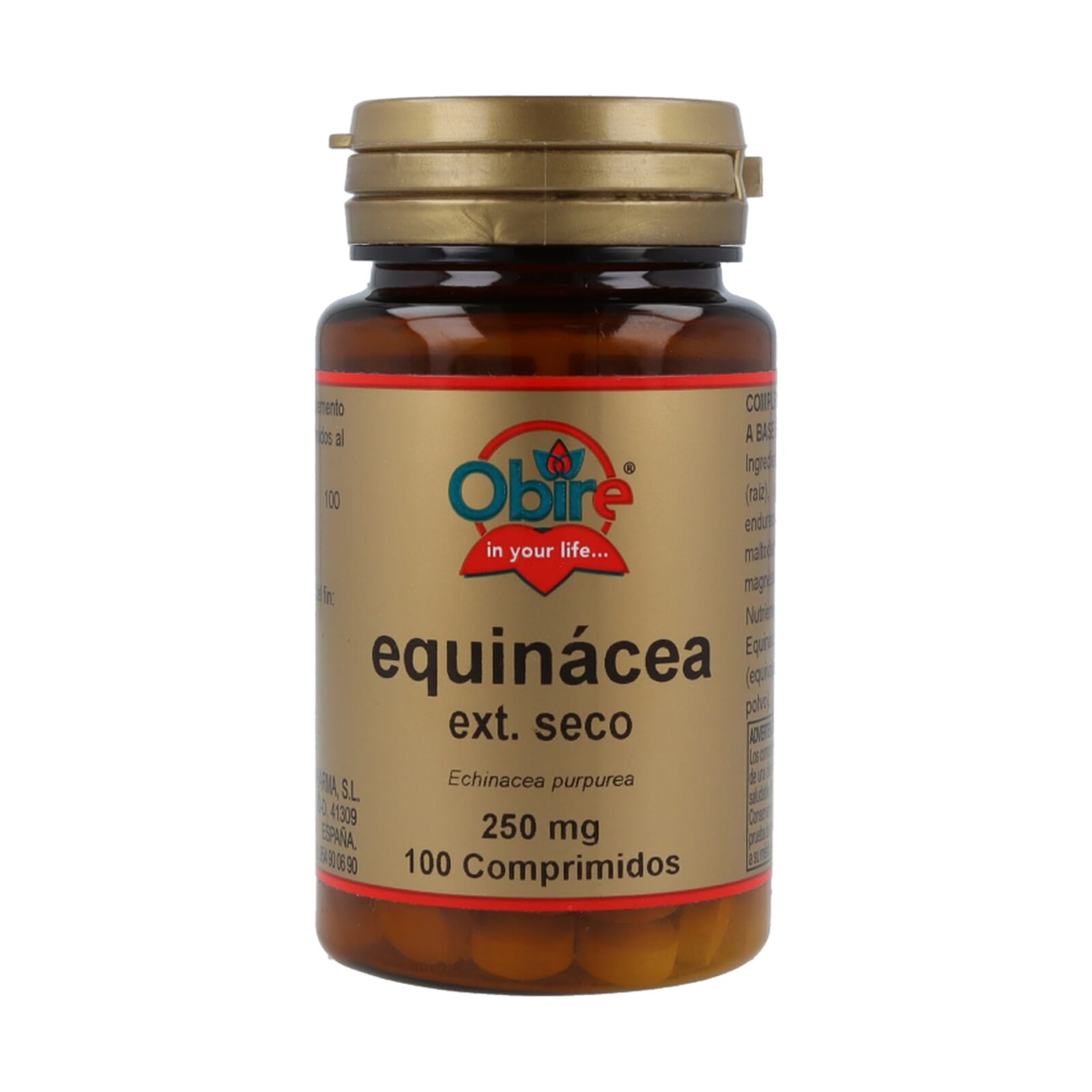 Echinacea Extracto Seco 250 mg 100 Tabs