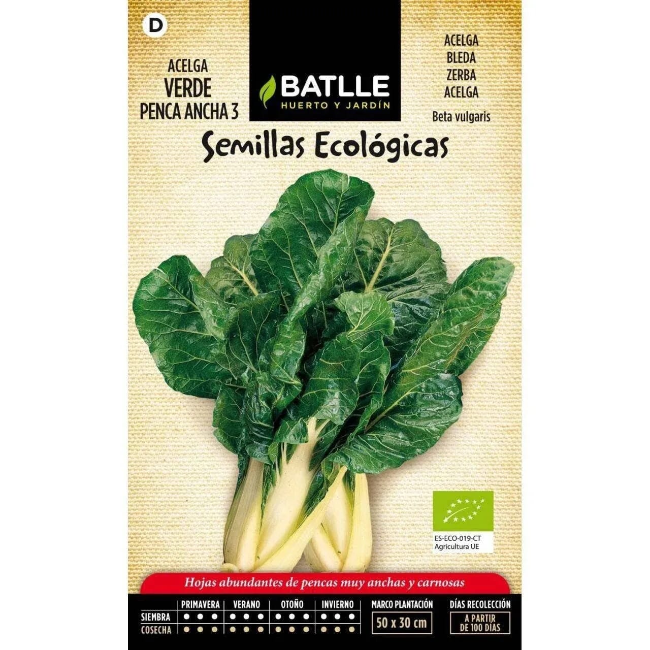 Semillas Acelga Verde Penca Ancha Eco  
