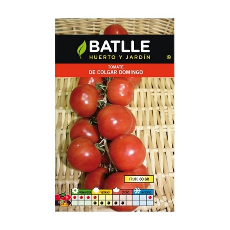Seme Di Pomodoro Appendere Domenica  