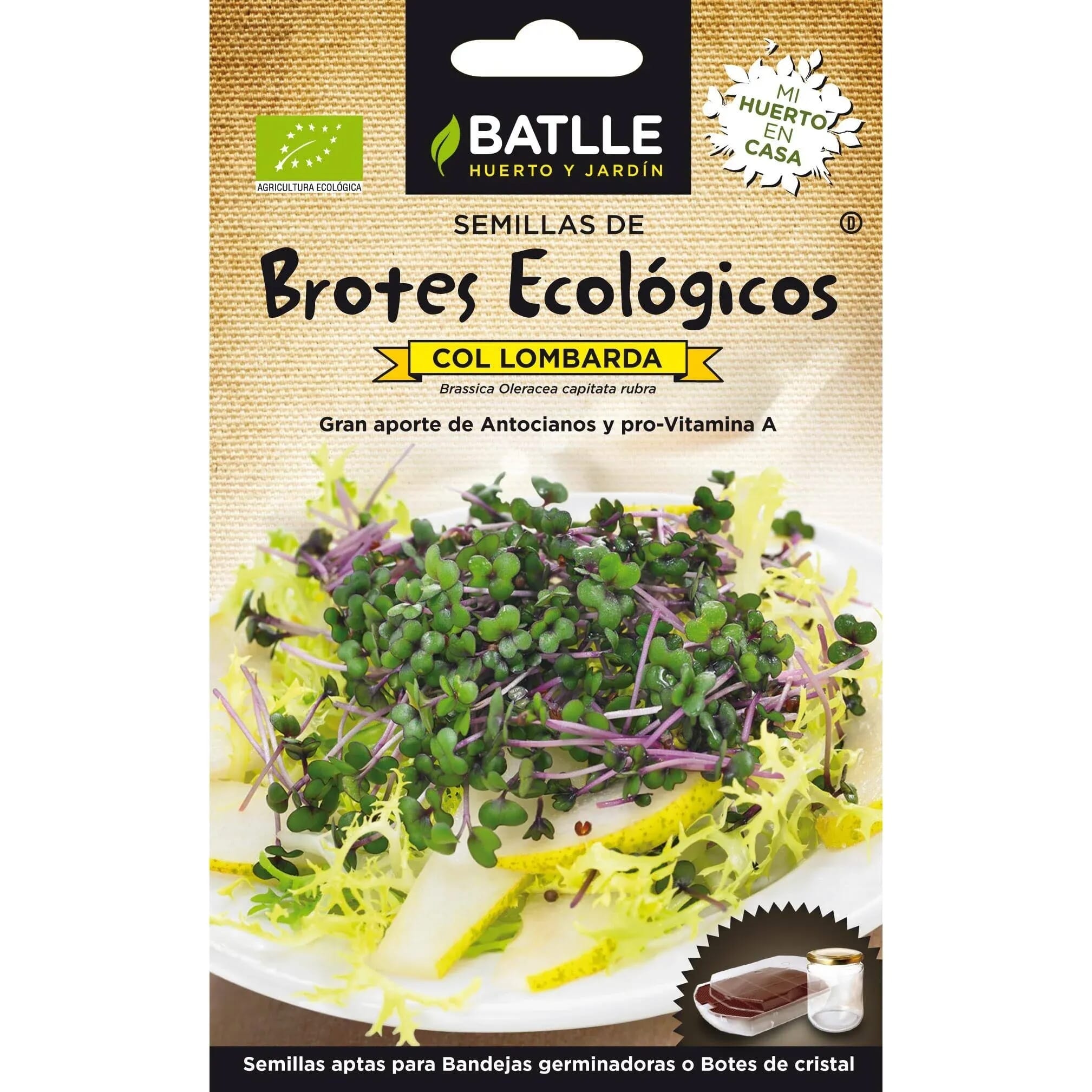 Brotes Col Lombarda Germinar Eco   de Batlle
