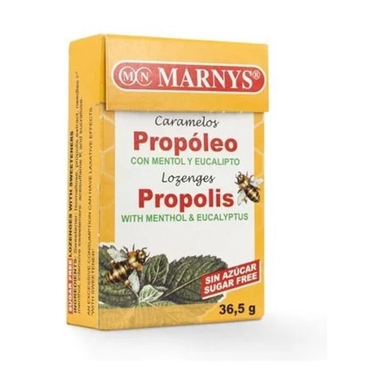 Propolis Bonbons Menthol und Eukalyptus Zuckerfrei 20 St