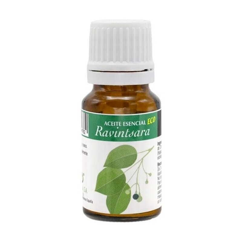 Óleo Essencial De Ravintsara Eco 10 ml