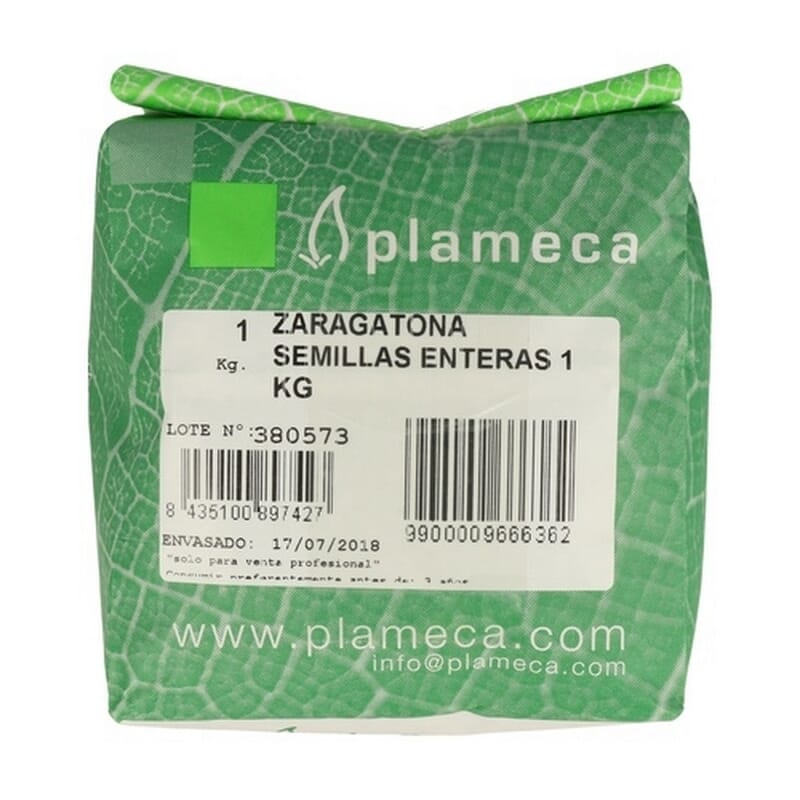 Graines de Psyllium 1 Kg