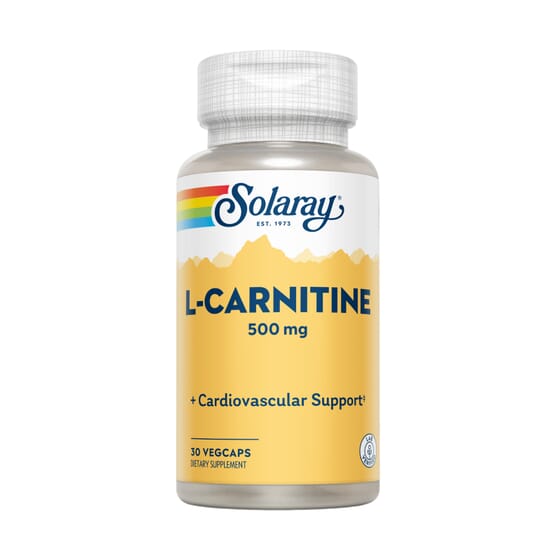 taking l carnitine daily Amazon.com: Alpha Supps L-Carnitine Liquid 3000 | Stimulant-Free Fat Burner  Supplement for Men & Women | Pre-Workout Energy Boost & Muscle Recovery |  Zero Sugar, Fat, & Carbs