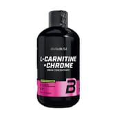 Platinum 100% Carnitine 180 Caps  Muscletech | Nutritienda
