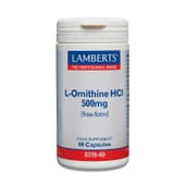 Optimisez votre développement musculaire avec L-Ornithine 500 mg de Lamberts.