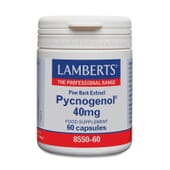 Pycnogénol, puissantes propriétés antioxydantes.