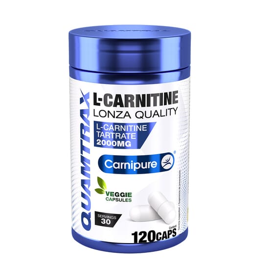 cuando tomar l-carnitina cuando debo tomar la l carnitina Para qu sirve la carnitina?| Blog