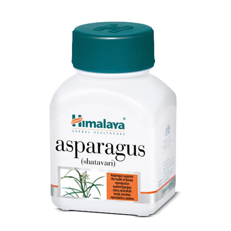 ASPARAGUS SHATAVARI 60 Caps