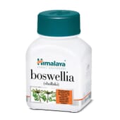 Boswellia Shallaki 60 Caps - Himalaya Herbals | Nutritienda