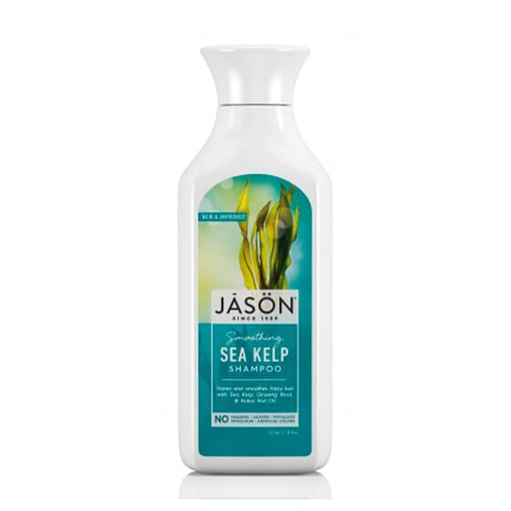 Shampoo Alghe Kelp 473 ml di JASON COSMETICS