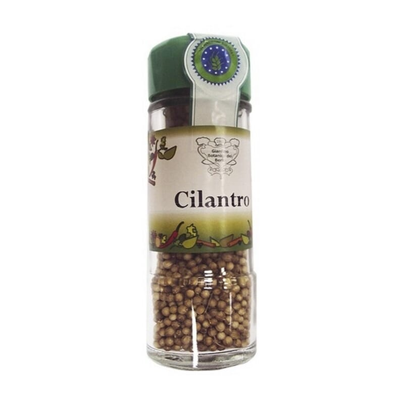 Cilantro Grano Bio 25g