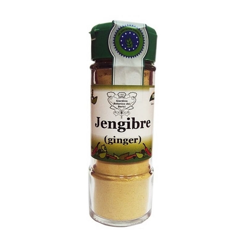 Condimento Jengibre Polvo Bio 30g