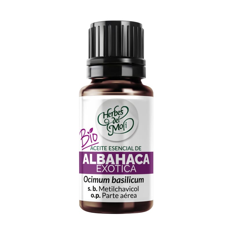 Essência De Manjericão 10 ml