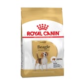 Ração Beagle Adulto 3 Kg da Royal Canin